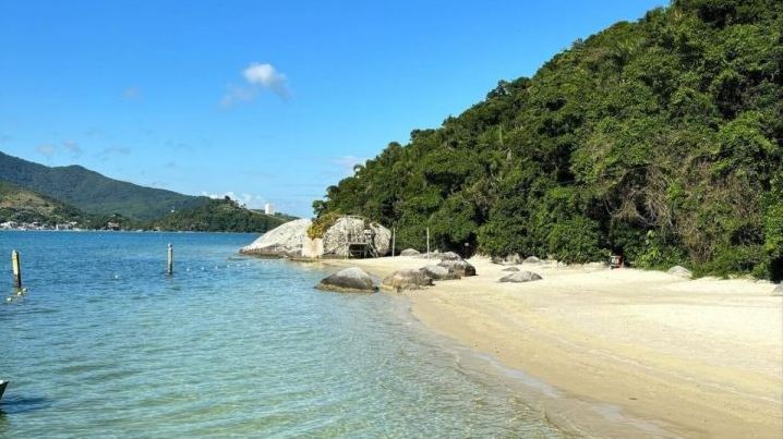 Uma praia tranquila com águas claras e azul-turquesa encontra uma costa arenosa. Grandes rochas e árvores verdes exuberantes margeiam o lado direito, enquanto colinas distantes e o céu azul são visíveis ao fundo. Uma cena calma e pacífica, sem a presença de pessoas. - Luiz Volpato Arquitetura